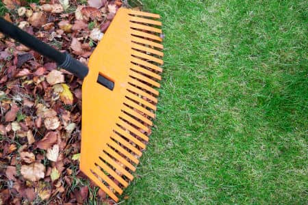 Fall & Spring Cleanup