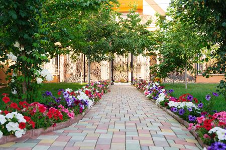 Flower Bed Maintenance