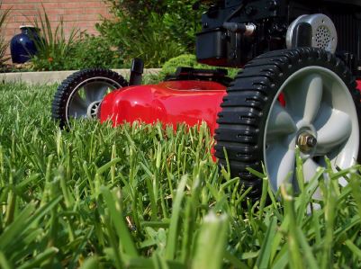 Lawn Mowing