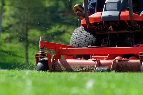 Lawn Mowing Image