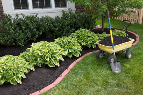 Mulching Image